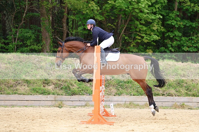 3E7A6380 - Class 4: Senior British Novice/90cm open