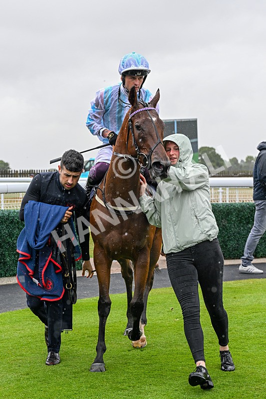 150725-Race 2-Pearl Fortune-0217 - Race 2