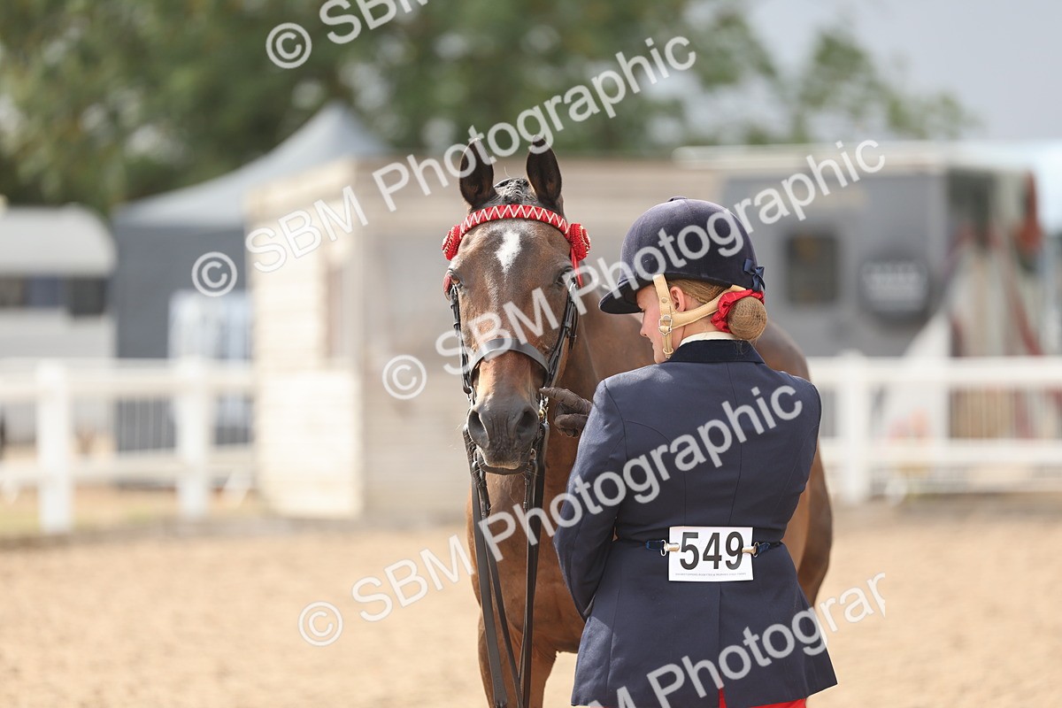 SBM_06894 - Class 25 - IH Foreign Breeds - Purebred