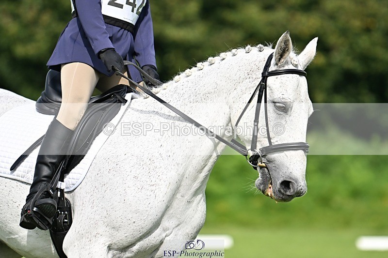 230826-105408-16760 - Sections A & B 10 to End