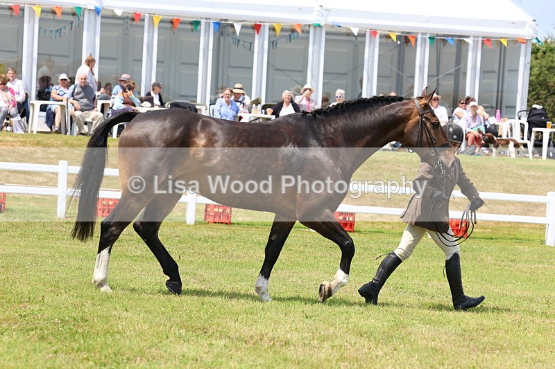 3E7A1750 - Class 9: Open Hunter