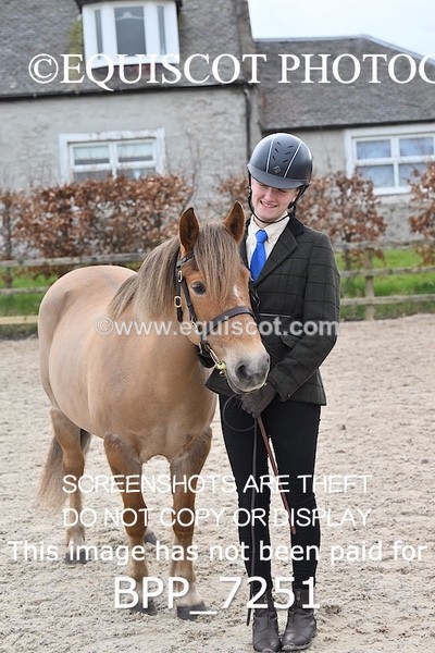 BPP_7251 - RING 1  (RIDDEN HORSES / IN HAND / VETERAN ETC)