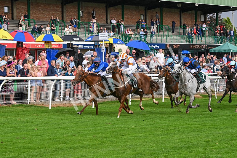 280824-Race 5-Hidden Pearl-4778 - Race 5