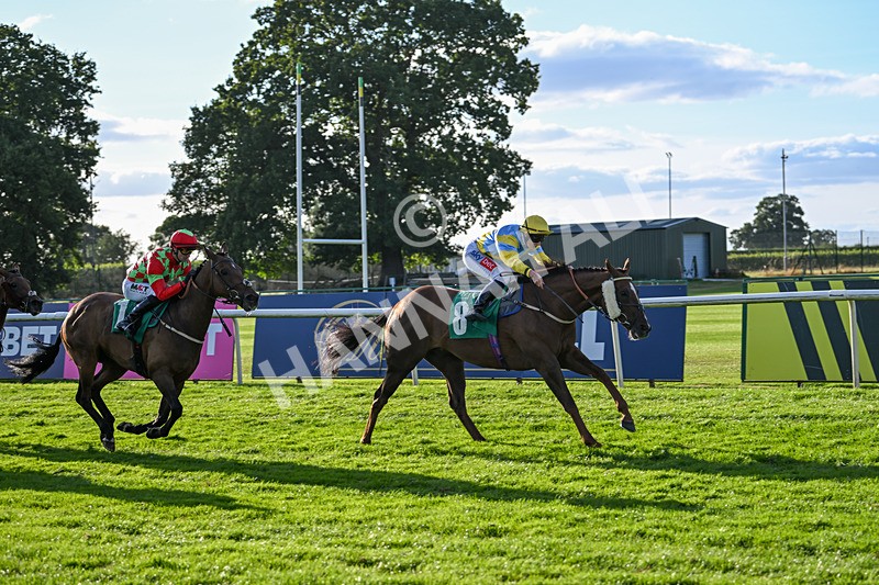 160824-Race 4-Jamih-9346 - Race 4