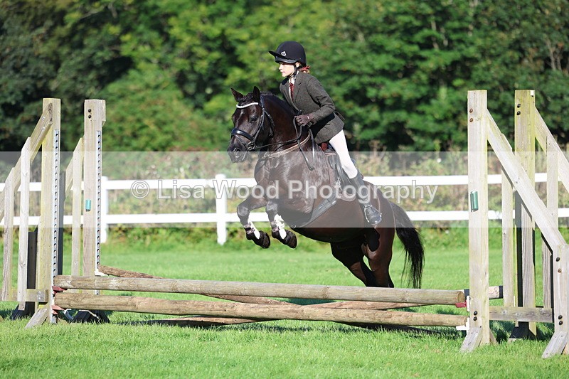 3E7A7477 - Class 1: Novice Working Hunter Pony