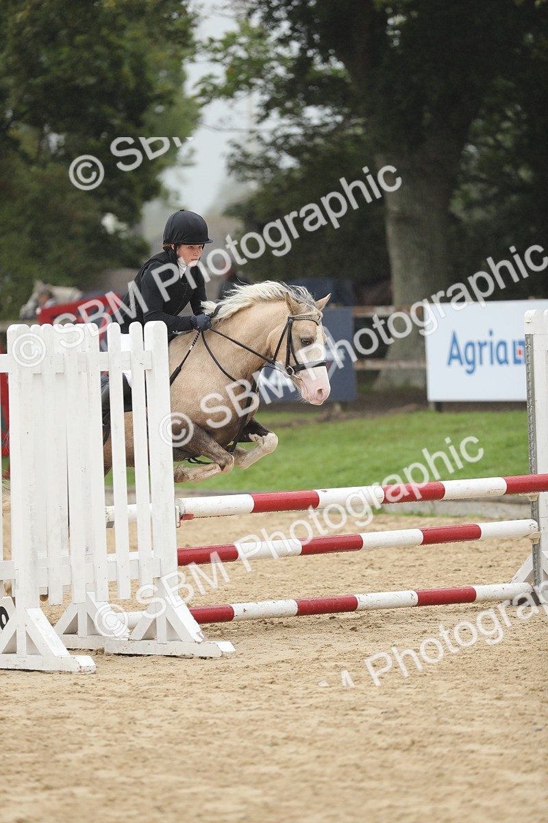 SBM_73830 - J16 - Junior Pony 75cm Championship