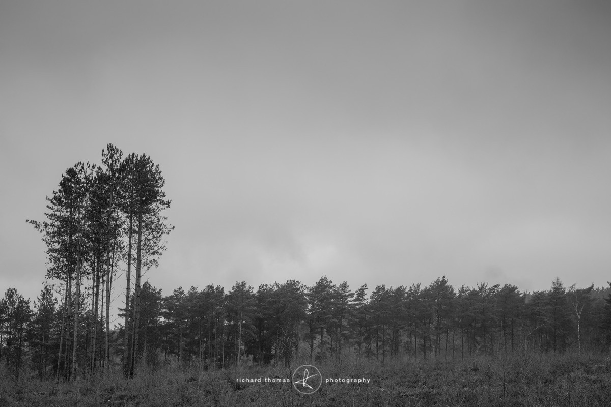 Bottle washers IV - Bottlewashers