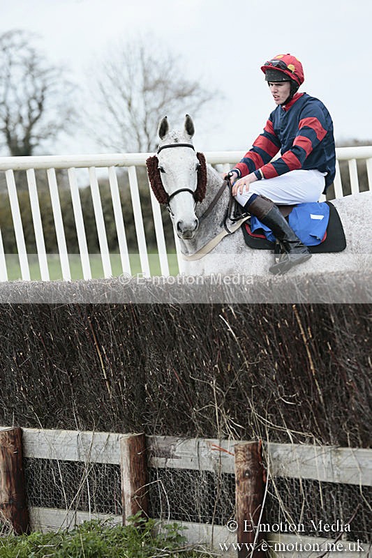PtP 230319 64 - VWH Hunt Siddington Point-to-Point Racing 23/03/19