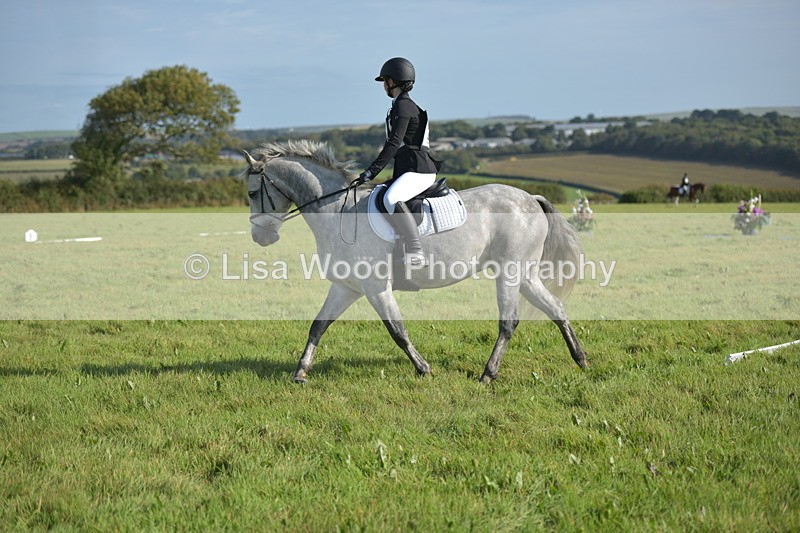 RAY_7398 - Class 2B: Trekenning Open: Dressage