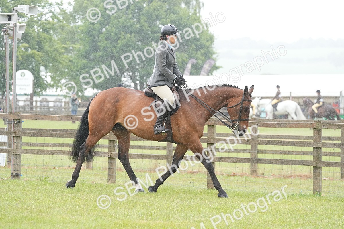SBM_12640 - Class 97-98 - LIHS BSHA Rising Star Working Show Horse Hunter