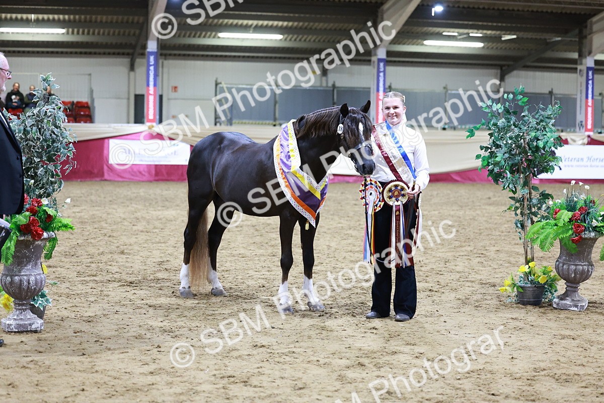 SBM_21084 - Class P - M&M Champs