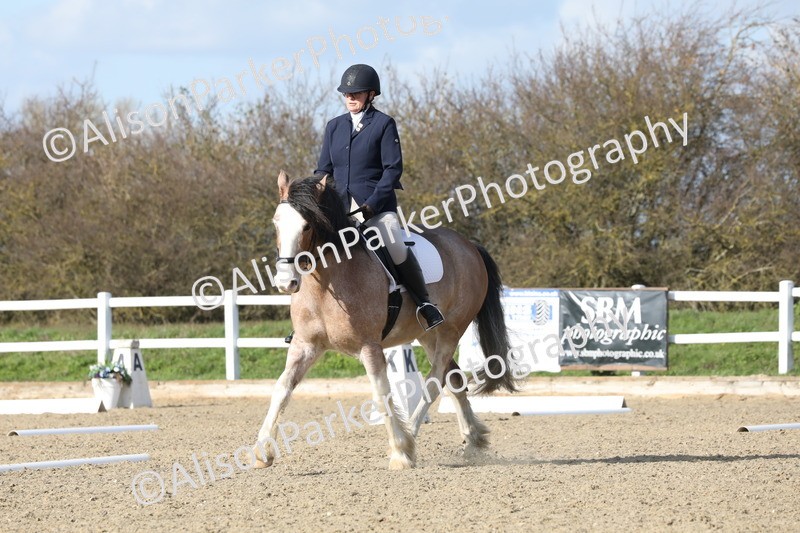 20260314-5005 - CT6 - Elementary 1