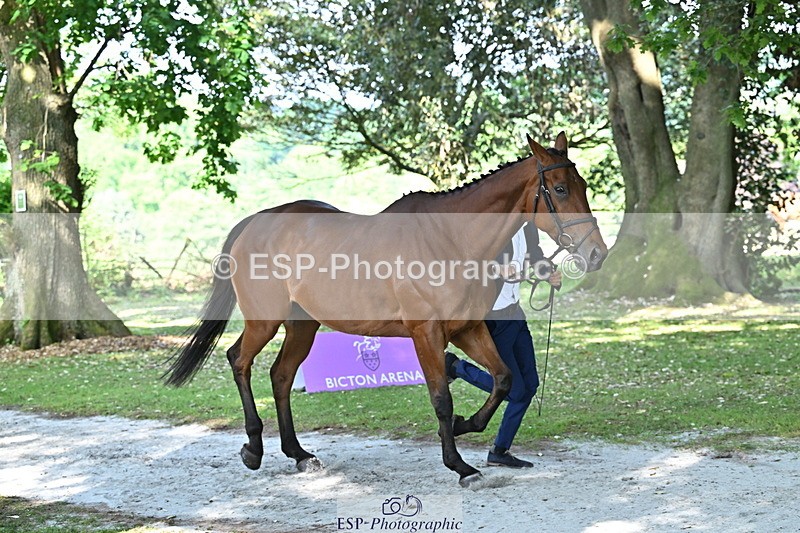 250521A-162154-01089 - C-216-Harrison.Chart-MY.KIND.OF.LADY