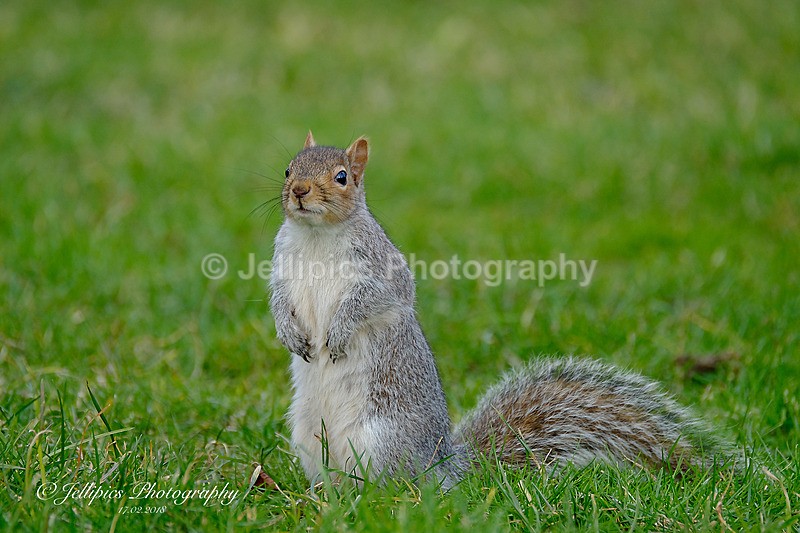  - Wildlife and Nature