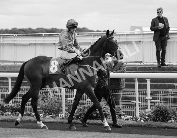 yr12052022r7-4 - Race 7 5.15pm Fidomoney Stakes