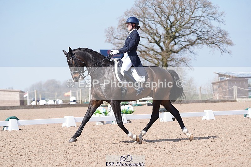 250404-125628-06016 - 015-Daisy.Hills-Midtgaards.Gijon