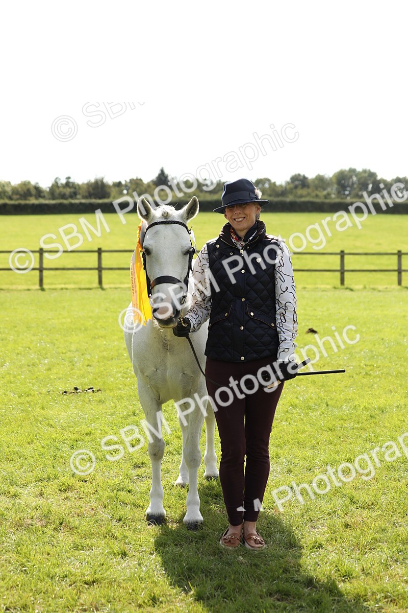 SBM_65628 - S48 - Show Pony & Show Hunter Pony In Hand