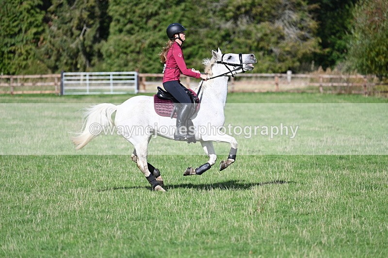 WJ7_8135 - Time 11:40 to 12:12