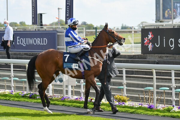 yr13052021r5-4 - Race 5 3.40pm British Stallion Studs EBF Westow Stakes
