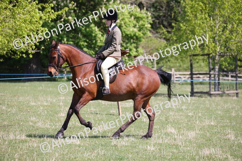 20250427-3231 - Class 33 - Best Pony 14.2hh and Under