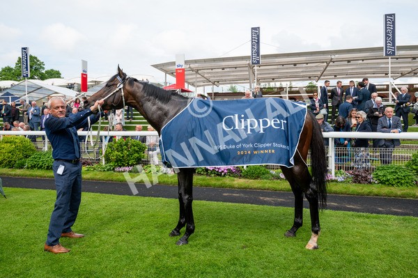 150524-Race 3-Mill Stream-7171 - Race 3 3.15pm 1895 Duke Of York Clipper Stakes