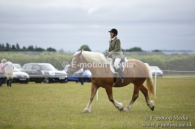 BVR160717-275 - Ring 1 BVRC Show 16/07/17