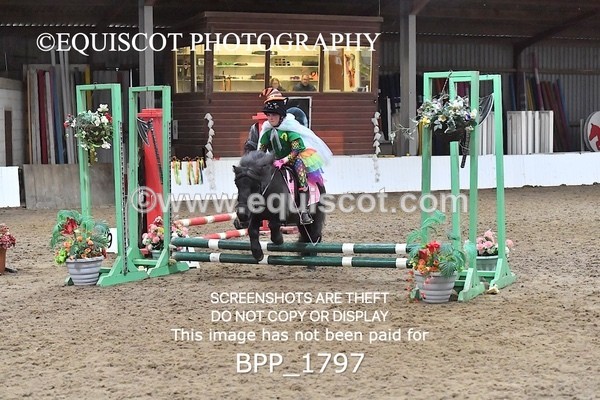 BPP_1797 - CLASS 2 TEAM SJ 40CM