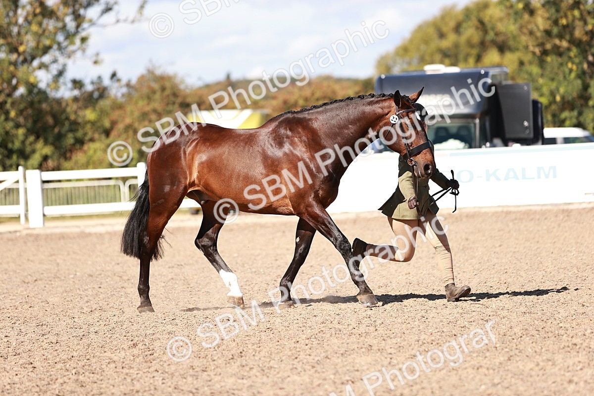SBM_13278 - class 406 - IH Hunter