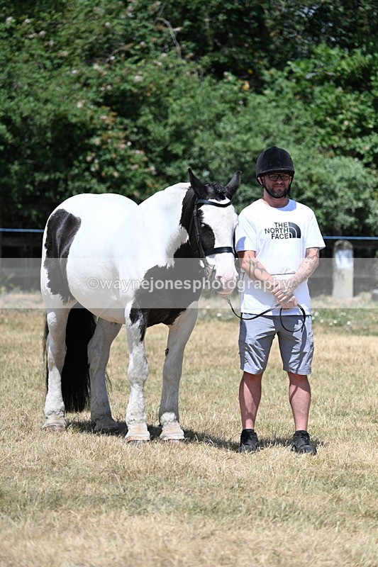 WJ7_2409 - Class 5a Most Handsome Gelding in hand (above 14.2hh)