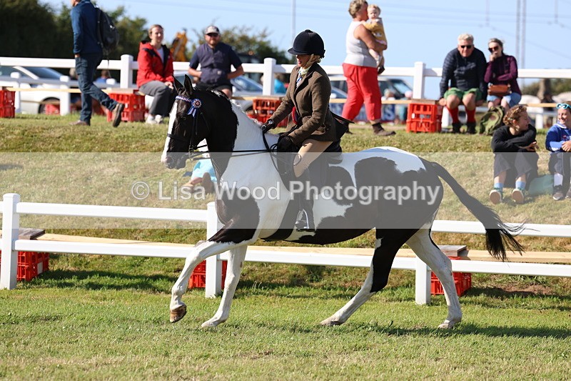 3E7A4090 - Supreme Championship