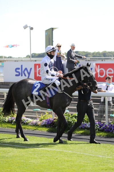 yr12062021r5-3 - Race 5 4.15pm Reg Griffin Appreciation EBFstallions.com Maiden Stakes