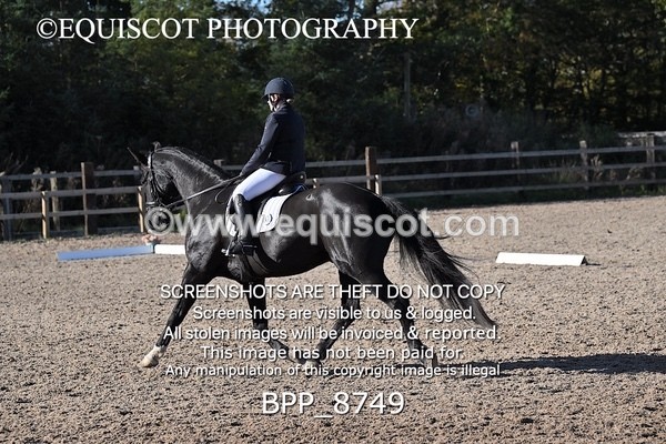 BPP_8749 - LONG ARENA