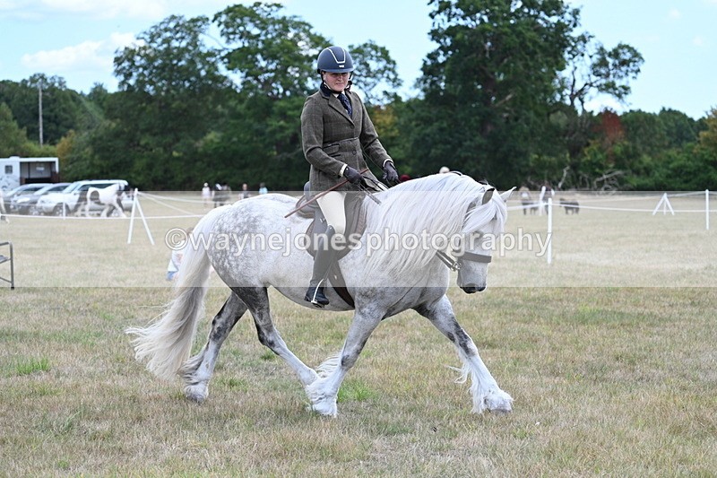 WJ7_4922 - Class 12 Ridden Cob