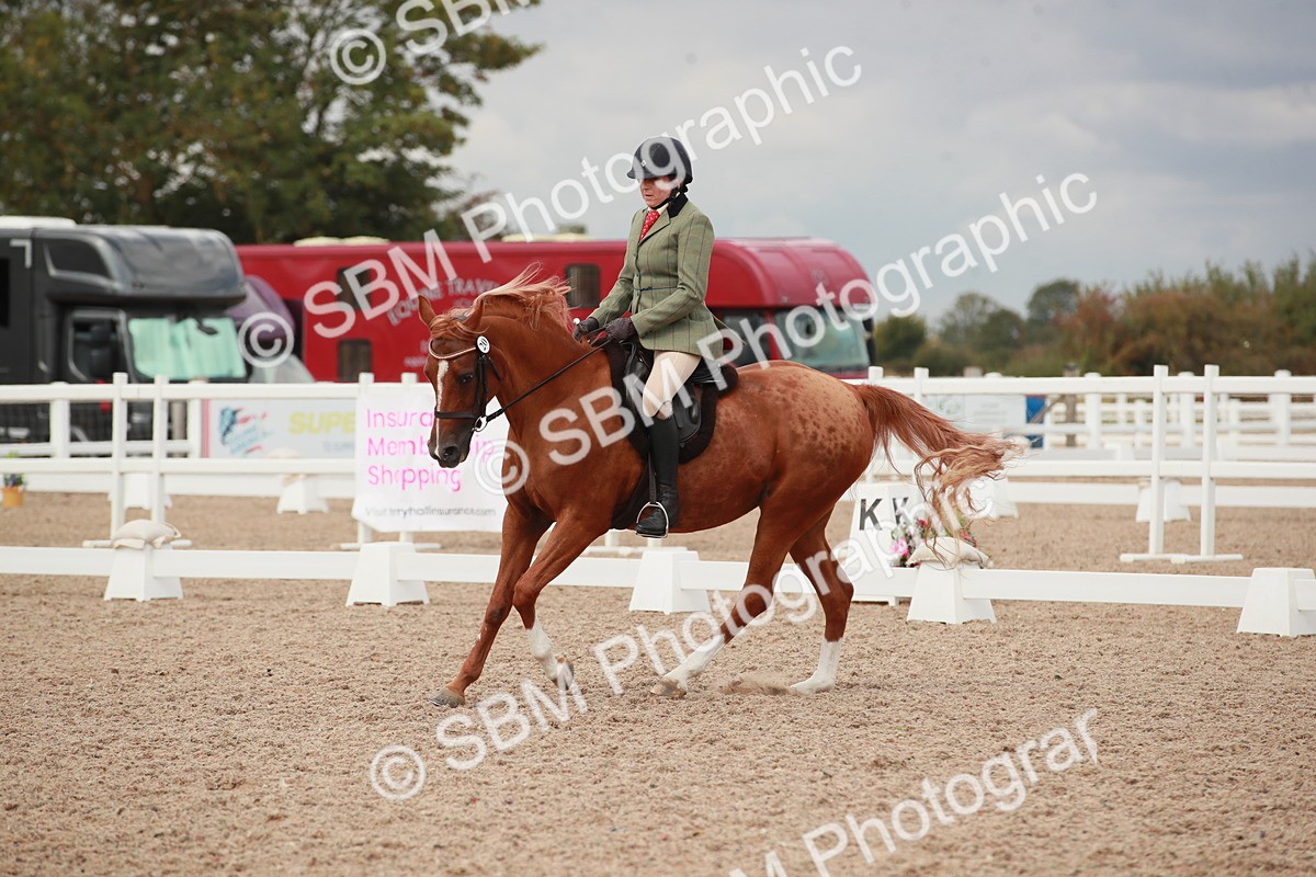 SBM_06004 - Class 32 - Novice 1