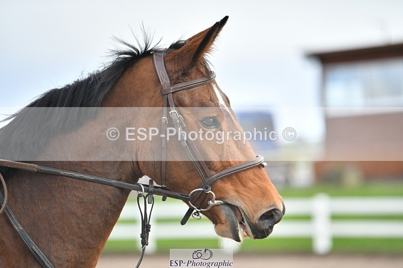 231110A-105622-00165 - Cls 2 British Novice & 90cm Open