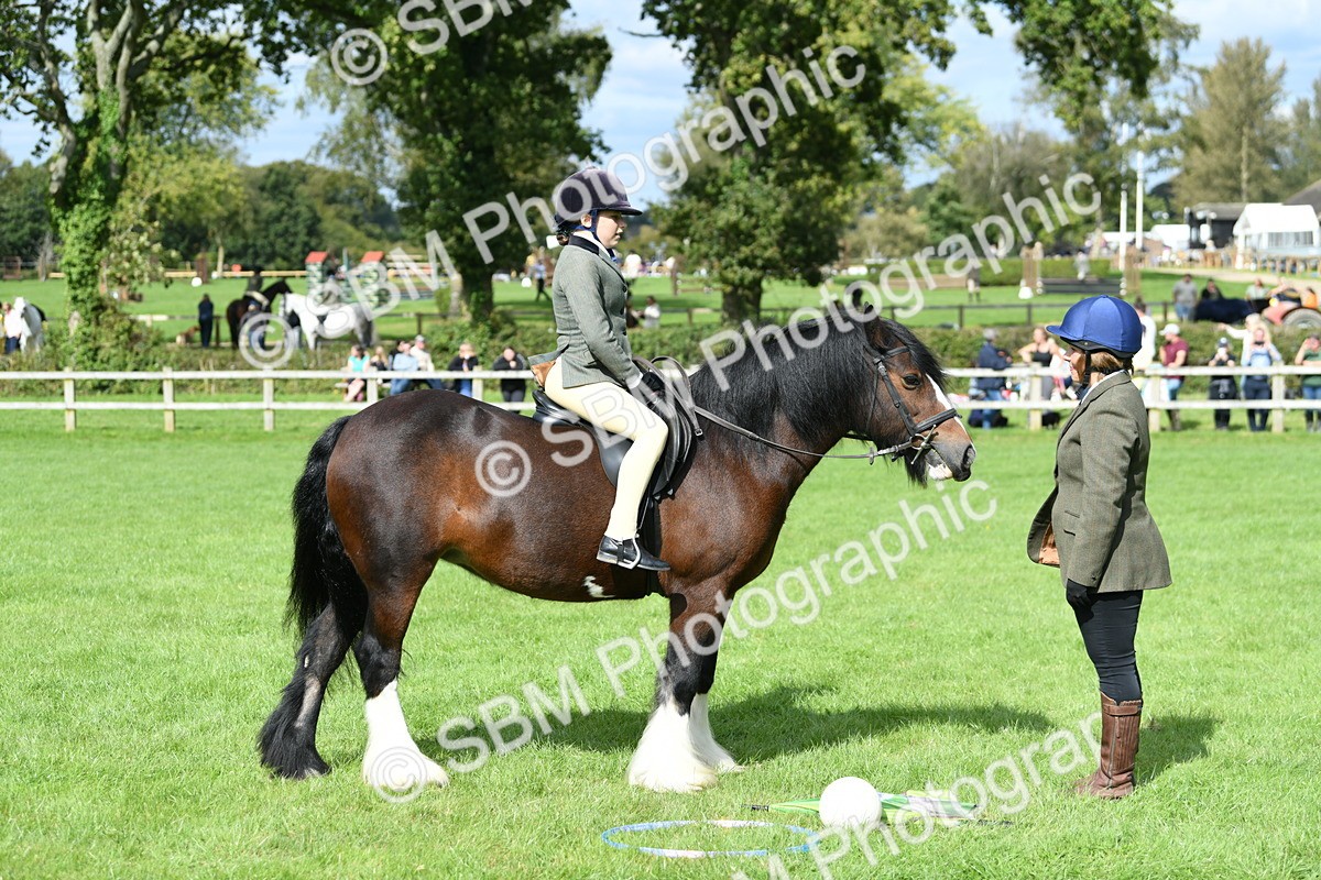 SBM_46912 - S12 - Family Horse & Pony