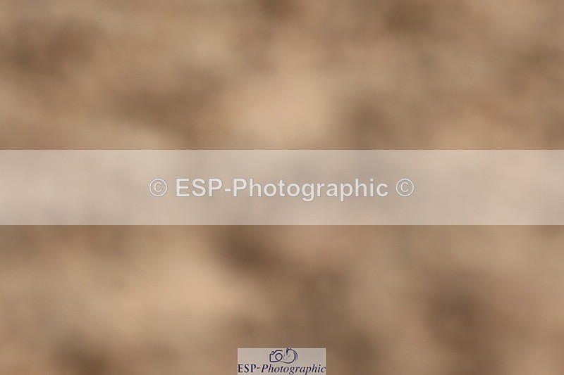 250622-093236-13545 - Cls 45 Prelim 6, Start to 9.50am