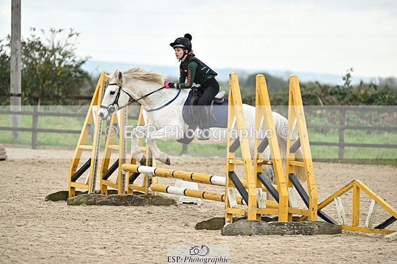 241110-140437-01028 - 60-65cm Arena Eventing