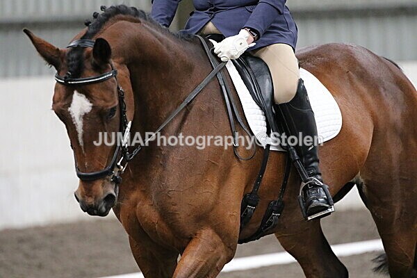 SIAL4768 - CAbin Dressage 5th july 2025