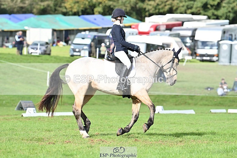 231020-141751-10870 - 664-TEMPLEMORE.WILD.ONE-Bella.Stevens-DR
