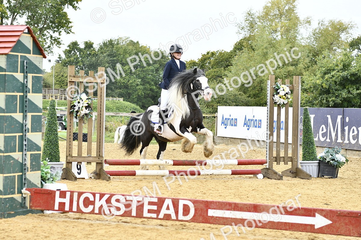 SBM_57248 - J61 - Mini Clear Round 30cm & 40cm