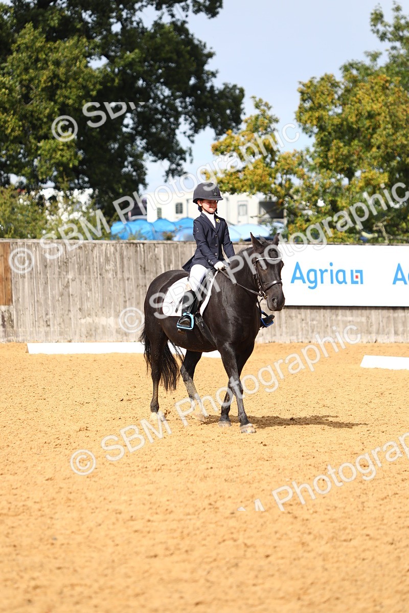 SBM_42620 - D21 - Junior Championship Intro 1