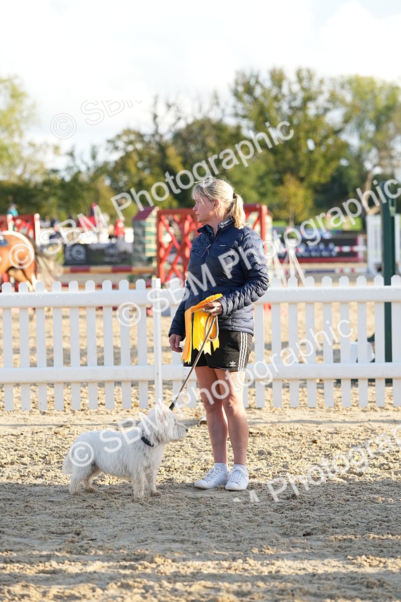 SBM_29519 - J44 - Horse & Hound Open 70cm