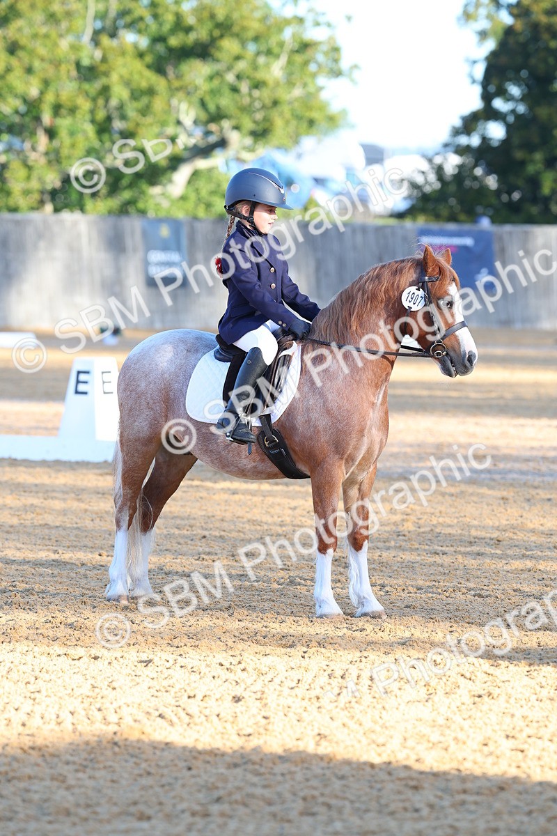 SBM_33495 - D26 - Test Starter Test 1