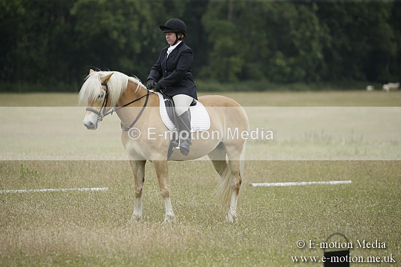 B230619-0612 - Bourne Valley Riding Club Summer Show 23/06/19