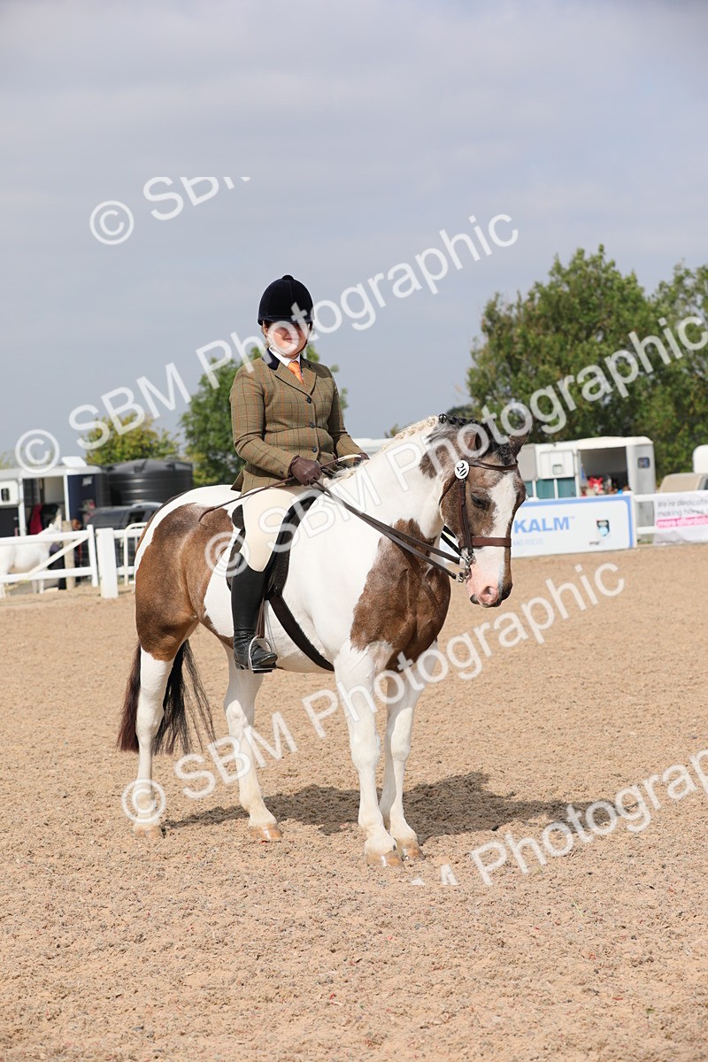 SBM_12830 - Class 307 Ridden Coloured Pony