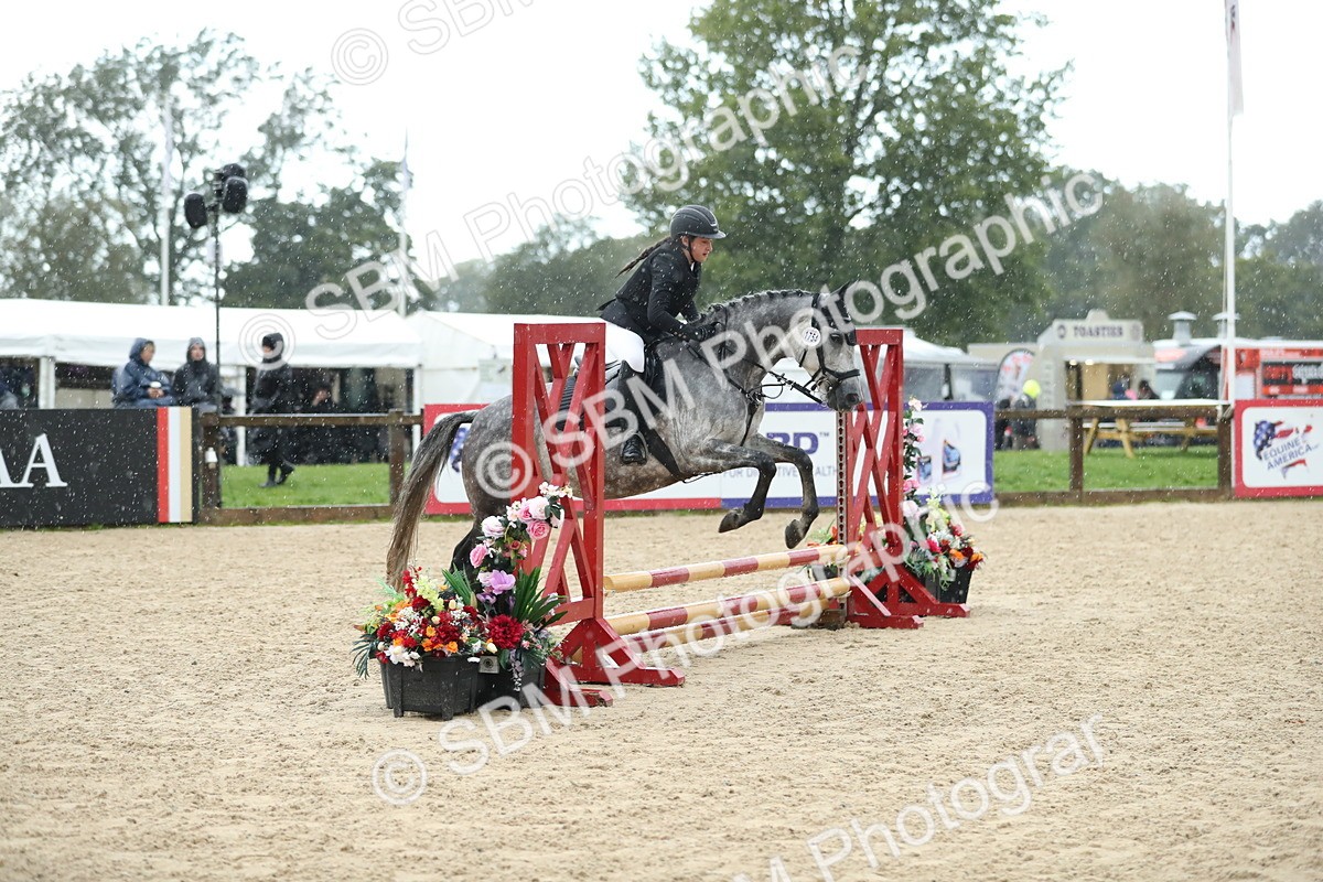 SBM_37135 - J20 - Junior Horse 50cm Championship