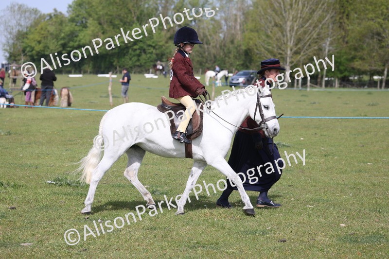 20260426-0592 - Class 31 - Leading Rein