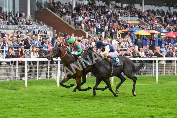 080924-Race 5-Quinault-9331 - Race 5 4.00pm Starman At Tally Ho Stud Garrowby Stakes