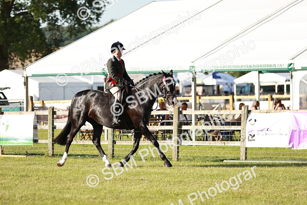 SBM_20076 - Class 115-116 - LIHS BSHA Rising Star Working Hunter & Show Horse